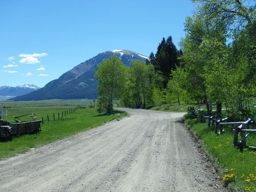 GDMBR: Exiting town through an Aspen Grove.
